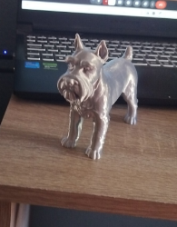 Perro Schnauzer